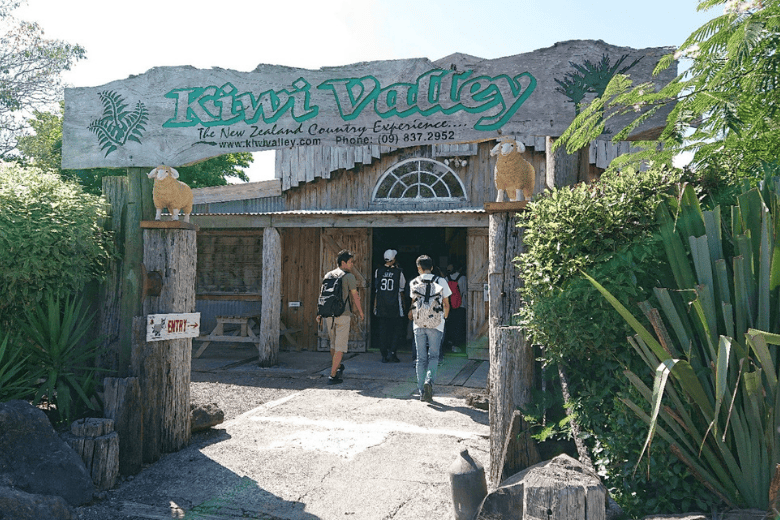 Things To Do Kiwi Valley Farm Park